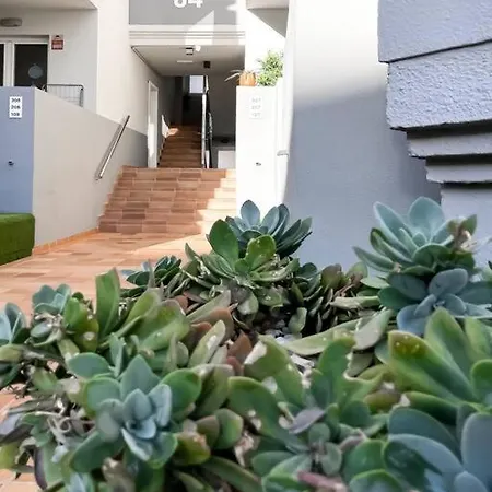 Appartamento B-rent Sun 207 Pool View Corralejo